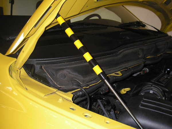 Custom Hood Strut Bumble Bee Style Decals Dodge, Chrysler, Jeep Custom Hood Strut Bumble Bee Style Decals Dodge, Chrysler, Jeep